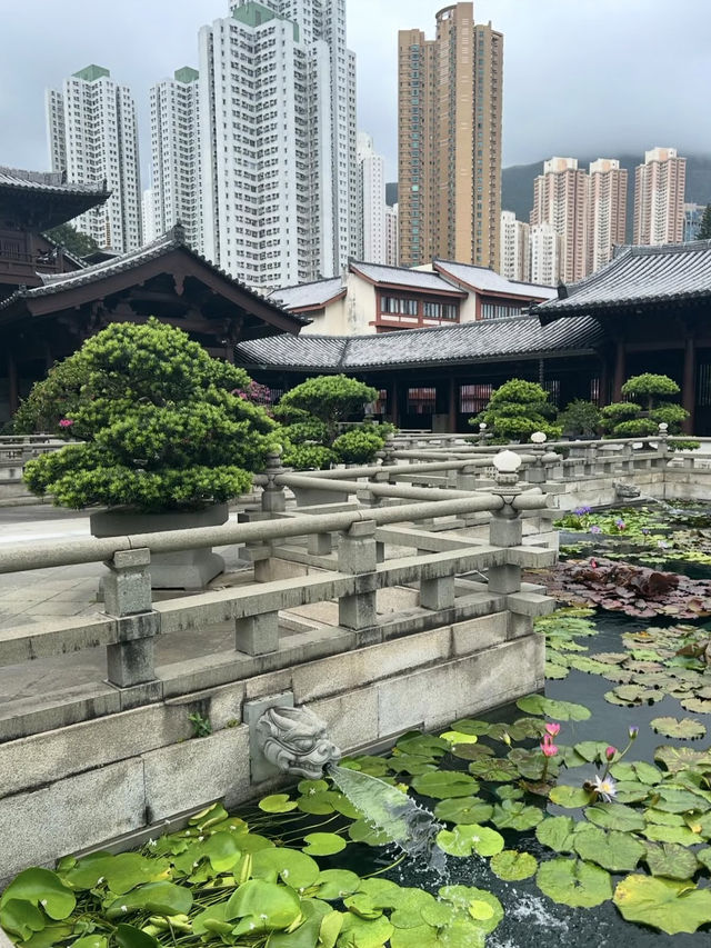 Chi Lin Nunnery Hong Kong