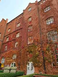 เที่ยวจีนฟีลยุโรป! แจกแพลนเที่ยว"ชิงเต่า"5วัน4คืน