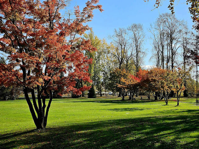 Queen Elizabeth Park Queen Elizabeth Park