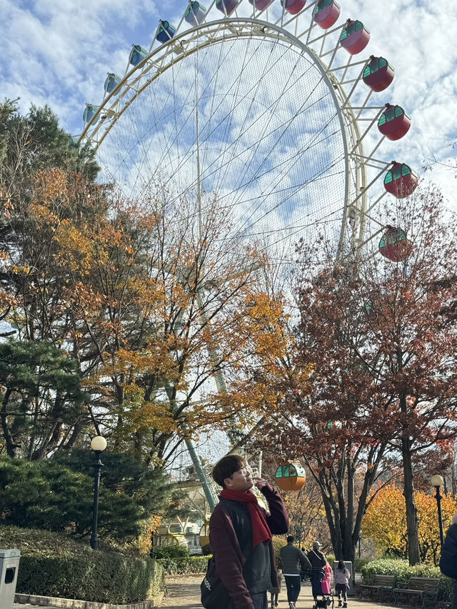 Everland Autumn Fun🎢