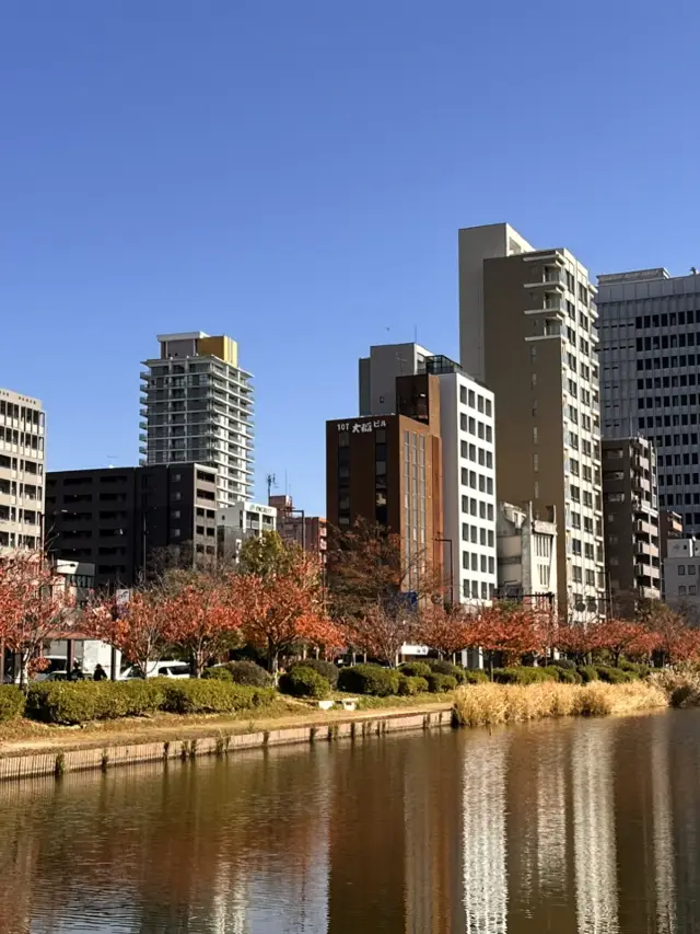 Start Your Day with FUK Coffee, Then Stroll Through Ohori Park