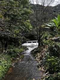 The best time to visit Mae Kampong Village is during the cool and dry seaso