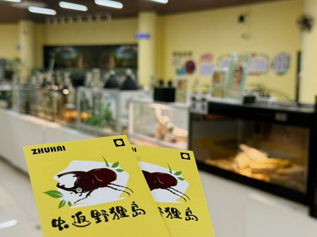 Where Wings Whisper Secrets: A Journey Through the Zhuhai Insect Museum Where Wings Whisper Secrets: A Journey Through the Zhuhai Insect Museum