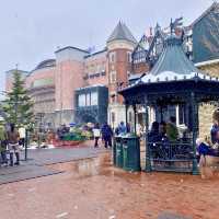 Sweet Escape: Shiroi Koibito Park, Sapporo