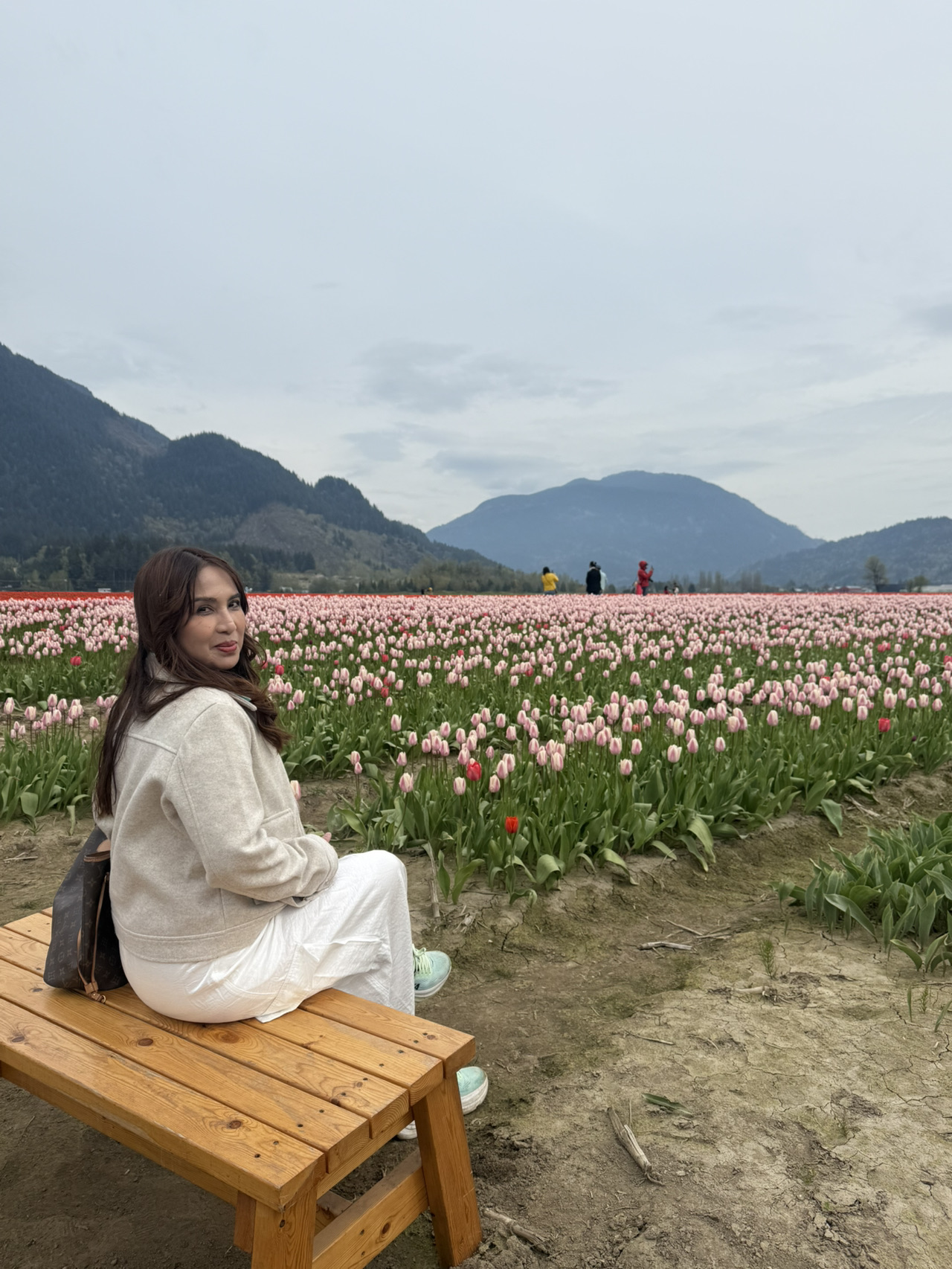 Agassiz - Harrison Tulip Spring Fields - 圖 6