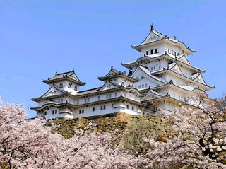 兵庫《姬路城與文化探索》