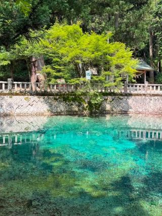  Uncovering a Hidden Gem: Beppu Benten Pond in Mine City, Yamaguchi Prefecture.