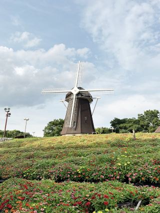Beautiful Summer Flower Gardens in Osaka🌻🌸