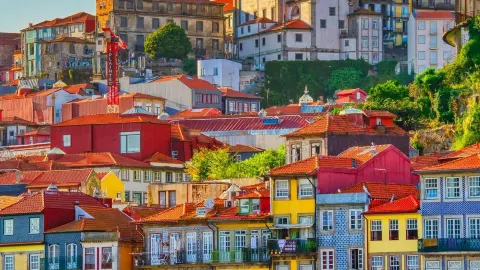 Porto: The Soul of Portugal 🇵🇹 — traveler post in Lisbon