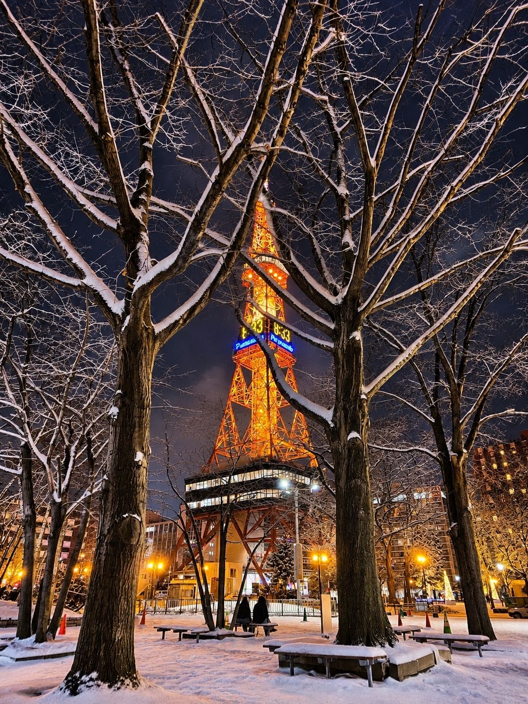 🇯🇵Experience the diverse charm of Sapporo TV Tower on a winter night.