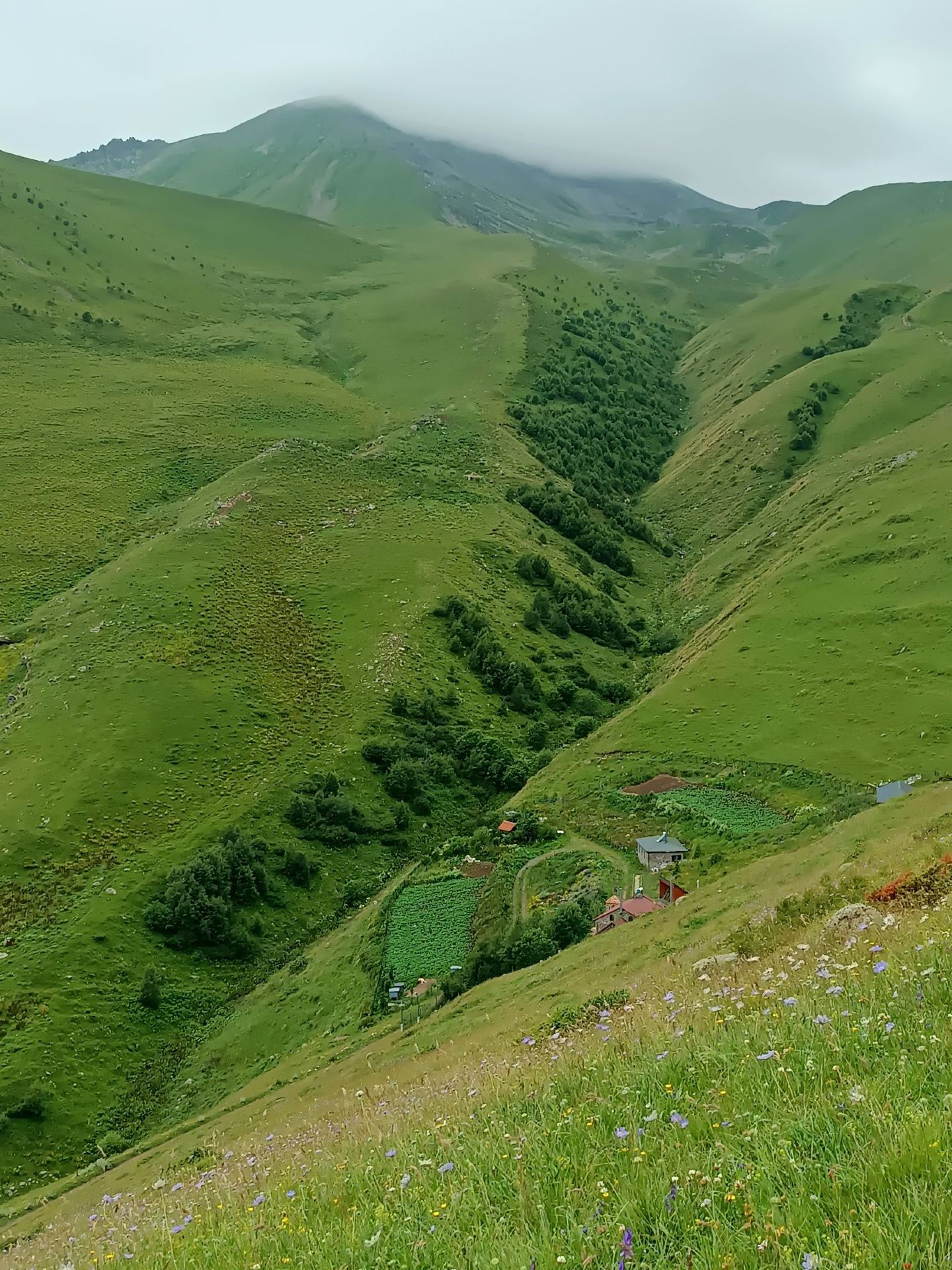 ☁️⛰️Tbilisi Is Loud. Kazbegi Is Clouds