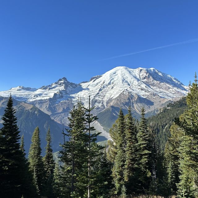 Last sunny day at Sunrise, Rainier 