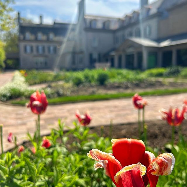 George Eastman House, Rochester