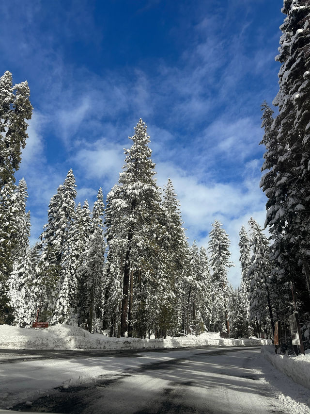 Yosemite, the overwhelming beauty of nature 