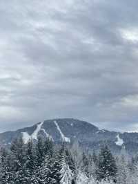 Whistler vibe