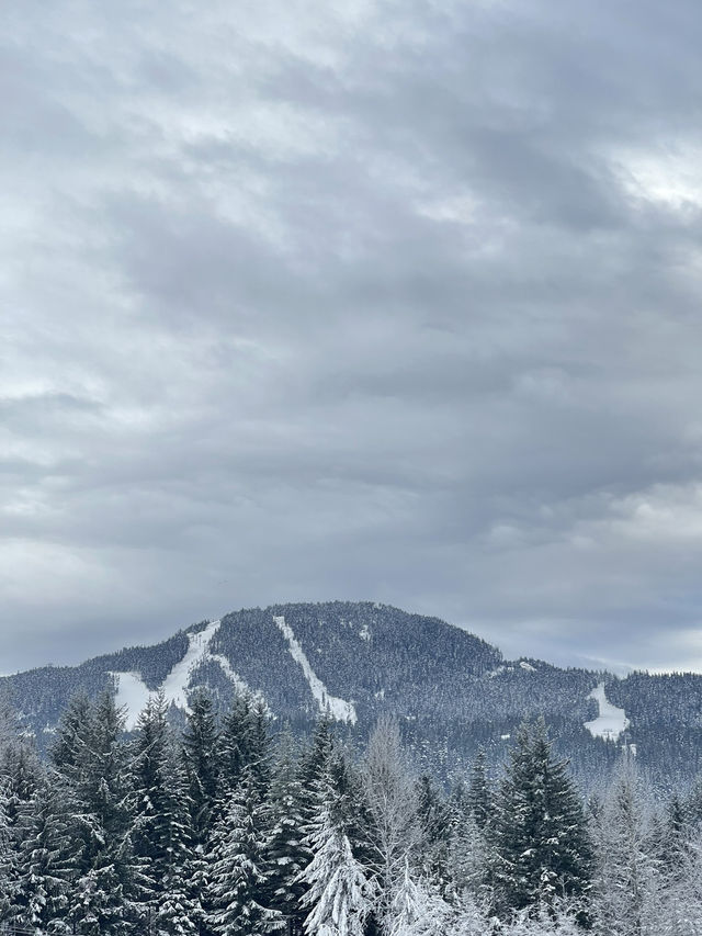 Whistler vibe