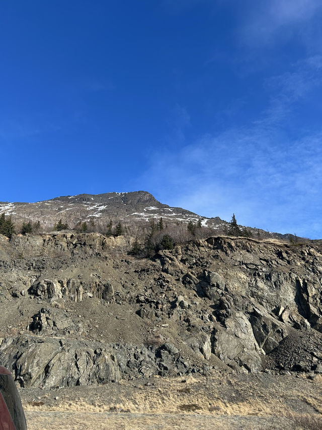 Alaska wild