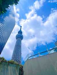 東京晴空街道