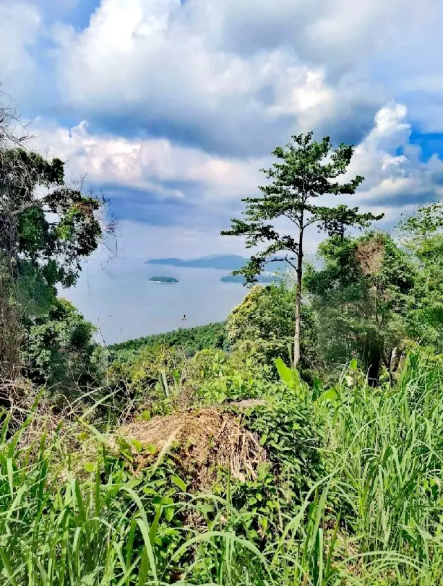 絕美的黑岩觀景台