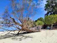 Amazing Sipadan Island