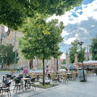 Cluj-Napoca, a city of universities and culture, a city tour