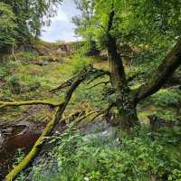 Dalcairney Falls 🇬🇧