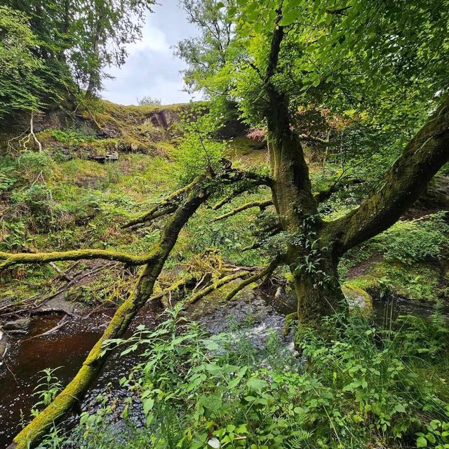 Dalcairney Falls 🇬🇧