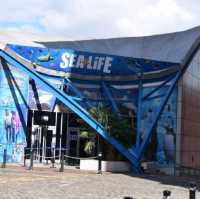 Birmingham sea life centre is really cool