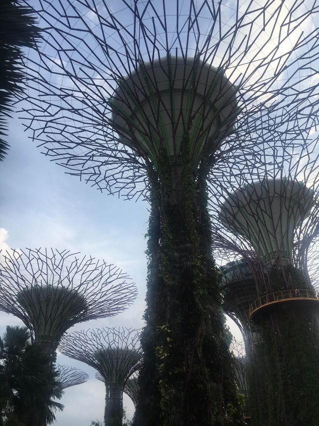 Gardens By The Bay