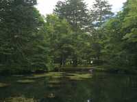 Japan's Nikko National Park