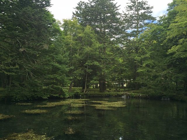 Japan's Nikko National Park