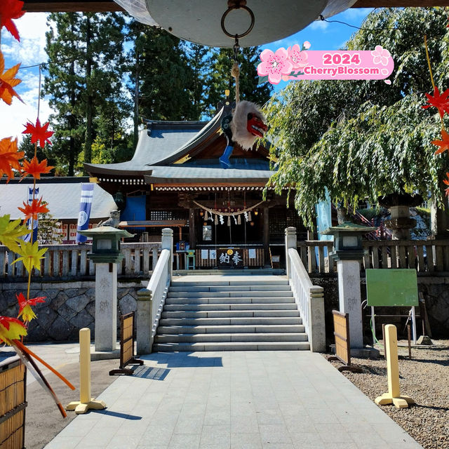 Such a beautiful shrine 🇯🇵