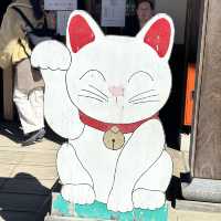 來東京不能錯過得的貓貓神社🐱