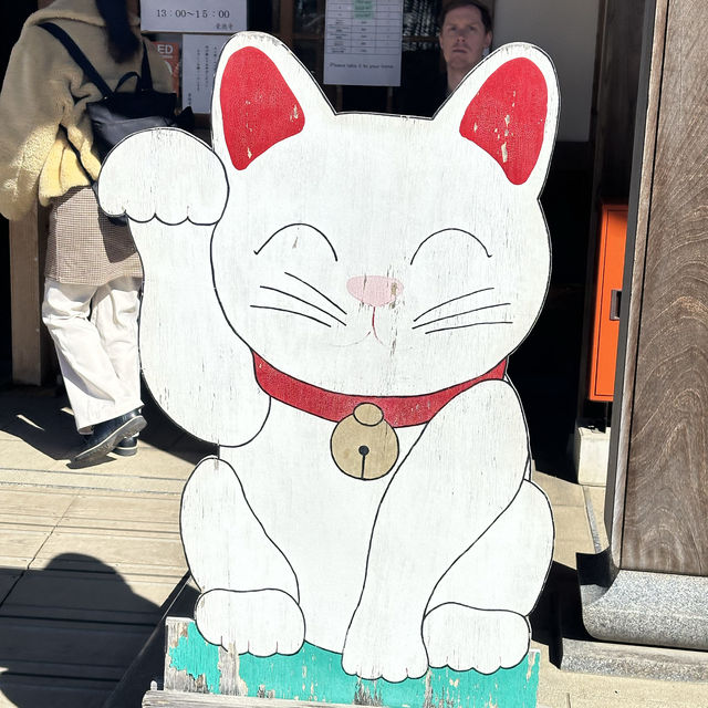 來東京不能錯過得的貓貓神社🐱
