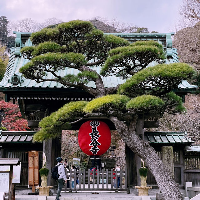 💯 Cultural Experience in 🇯🇵 - Perfect day trip from Tokyo!