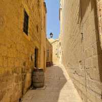 Gozo’s citadel 