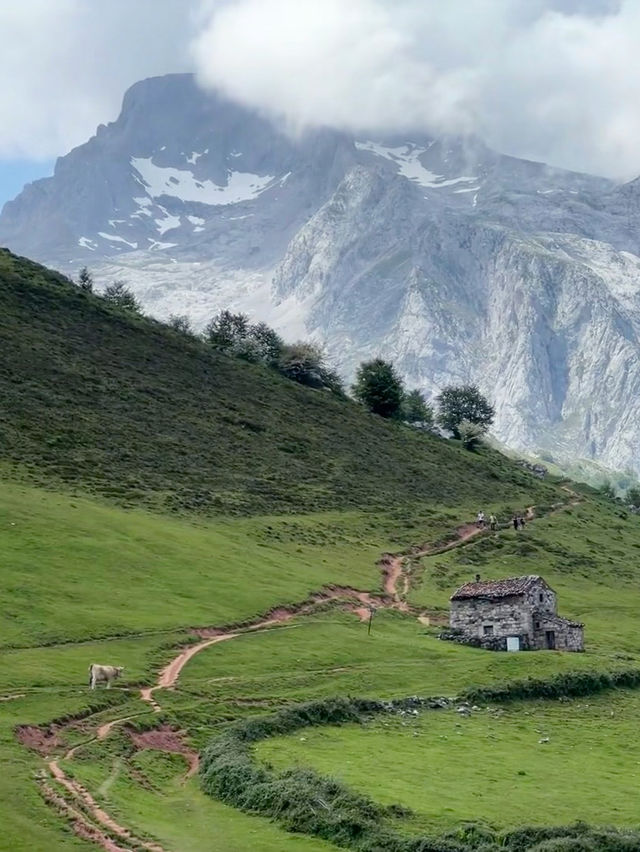 Peaks and Valleys: A Summer Escape to Picos de Europa National Park