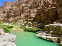 "Discover Oman: Where Desert Meets the Sea and Mountains Touch the Sky! 🇴🇲✨"