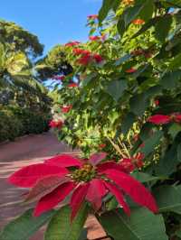 A walk around the Botanic Gardens Gibraltar🇬🇮 