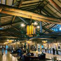 🛏️ Where to Stay When Visiting Yellowstone National Park 🏕️🐻