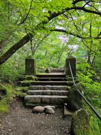 Nikko: A Day of Nature, Shrines, and Waterfalls