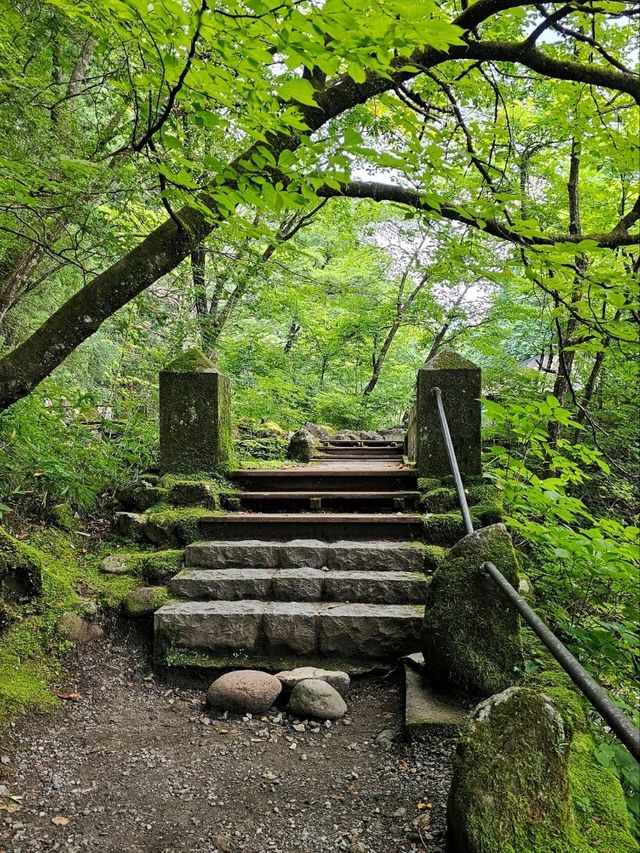 Nikko: A Day of Nature, Shrines, and Waterfalls