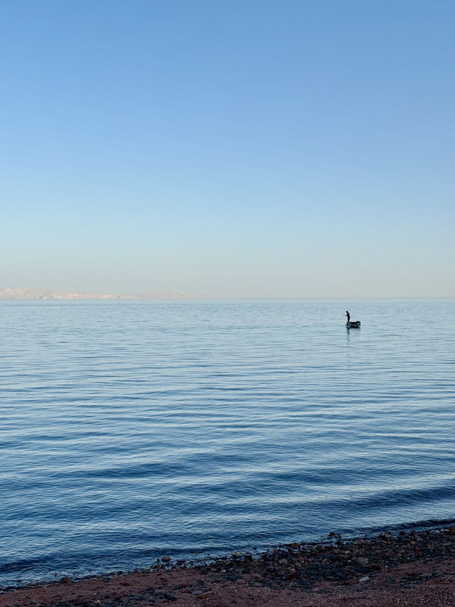  Sinai sea with a tropical touch!