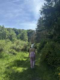 Free Adventure with Great View 