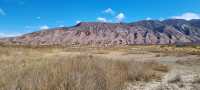 Salta surrounding and Los Cardones National Park