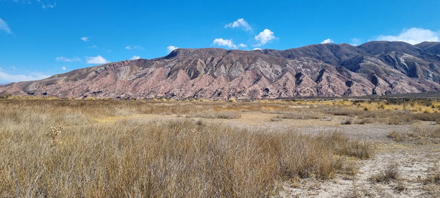 Salta surrounding and Los Cardones National Park