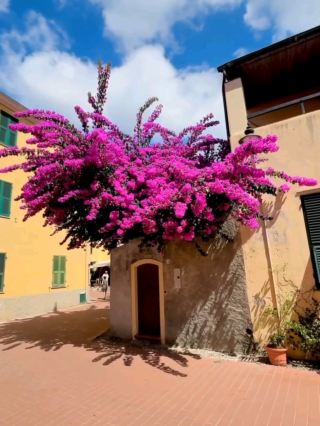 Varigotti: Liguria’s Colorful Coastal Secret