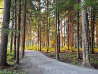 🌅 White Nights Magic in Karelia – Why You Must Visit Petrozavodsk’s Embankment This Summer