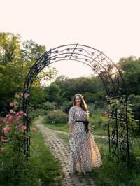 🌿 Bucharest Botanical Garden – A Green Oasis in the City