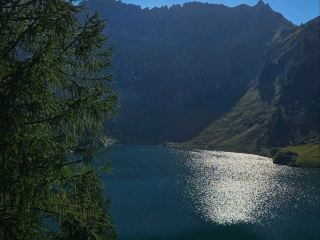 A Hidden Gem for Nature Lovers
